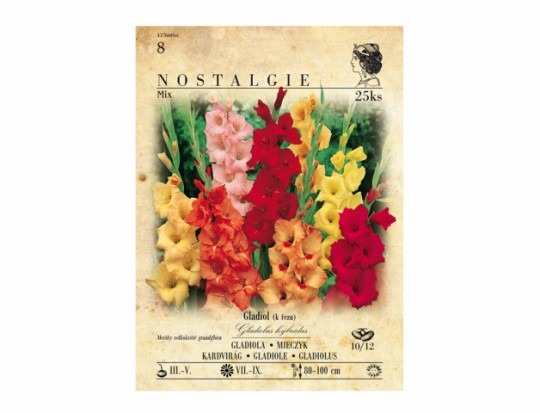 Gladiola Zmes 25ks