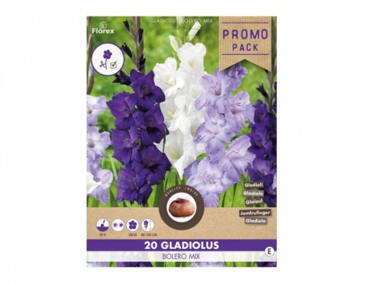 Gladiola Bolero Mix 20ks