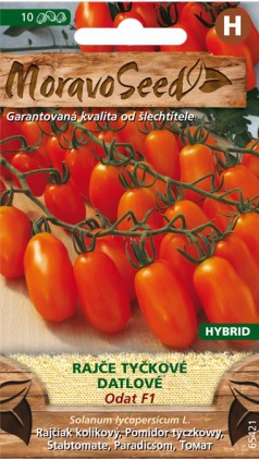 Rajčiak kolíkový datľové Odat F1 - 10s