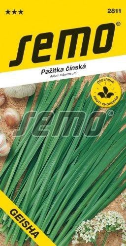 Pažitka čínská Geisha -2g