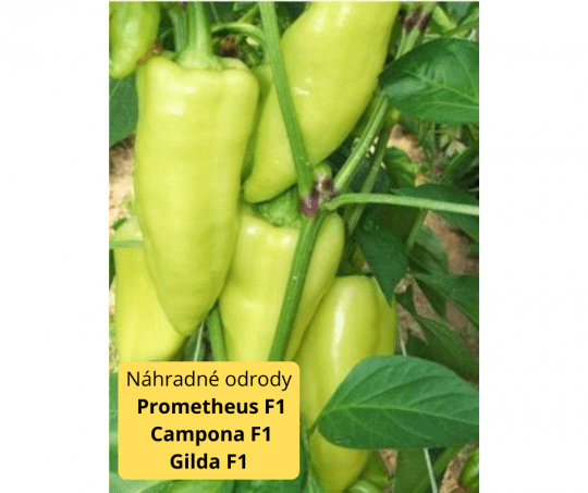 Paprika PROMONTOR F1- 250s