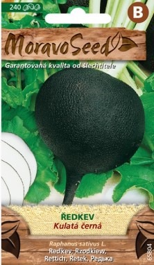 Reďkovka čierná gulatá- 240s