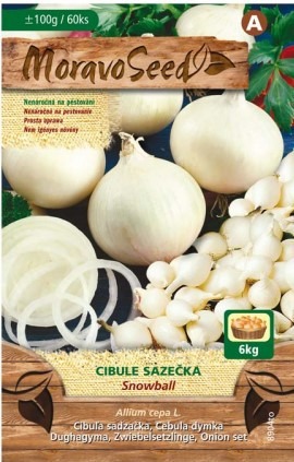 Cibuľa sadzačka Snowball - 0,1kg
