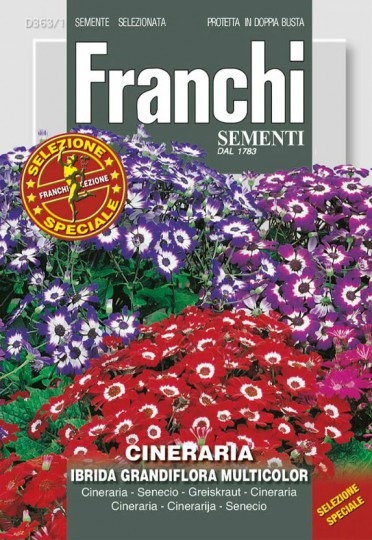 Starček GRANDIFLORA ZMES F1 - 0,1g
