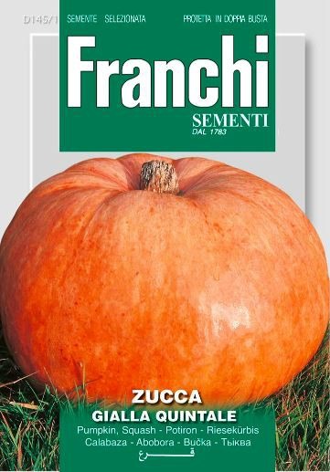 Tekvica QUINTALE SEME GIALLO 4g