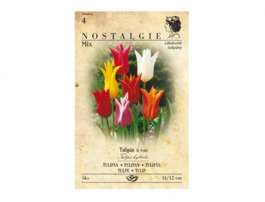 Tulipán laľiokvetý-zmes 5ks