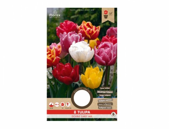 Tulipán Double Early Murillo mix 8ks