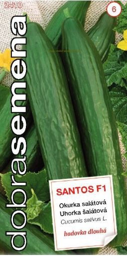 Uhorka šalátová SANTOS F1- 10s