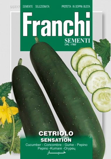 Uhorka siata šalátová SENSATION - 6g