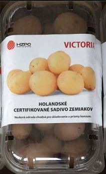 Victoria - holandské sadbové zemiaky 45ks