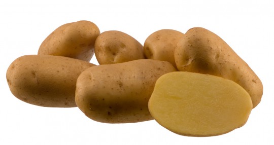 Agria - slovenské sadbové zemiaky 5kg
